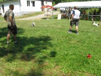 3. července